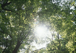 保育の方針|社会福祉法人　専徳会　うるう保育園